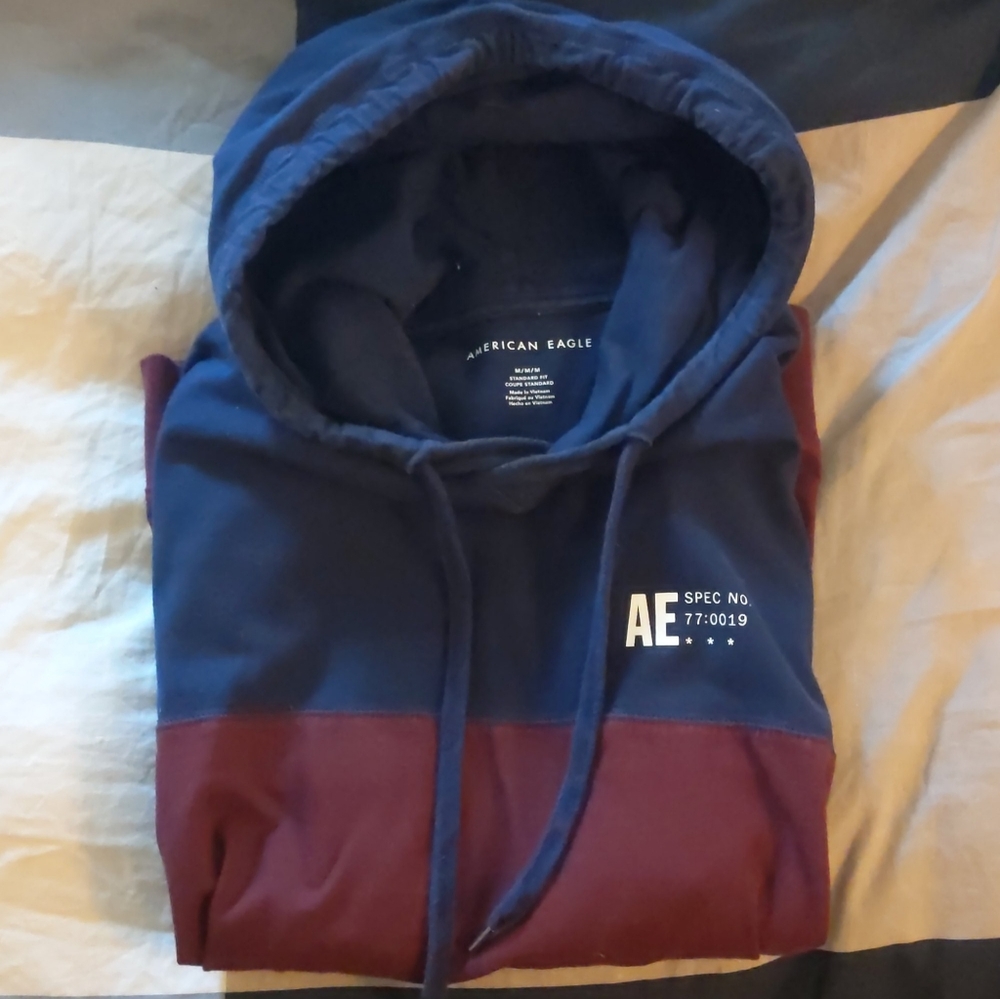 American Eagle Colerblock Hoodie